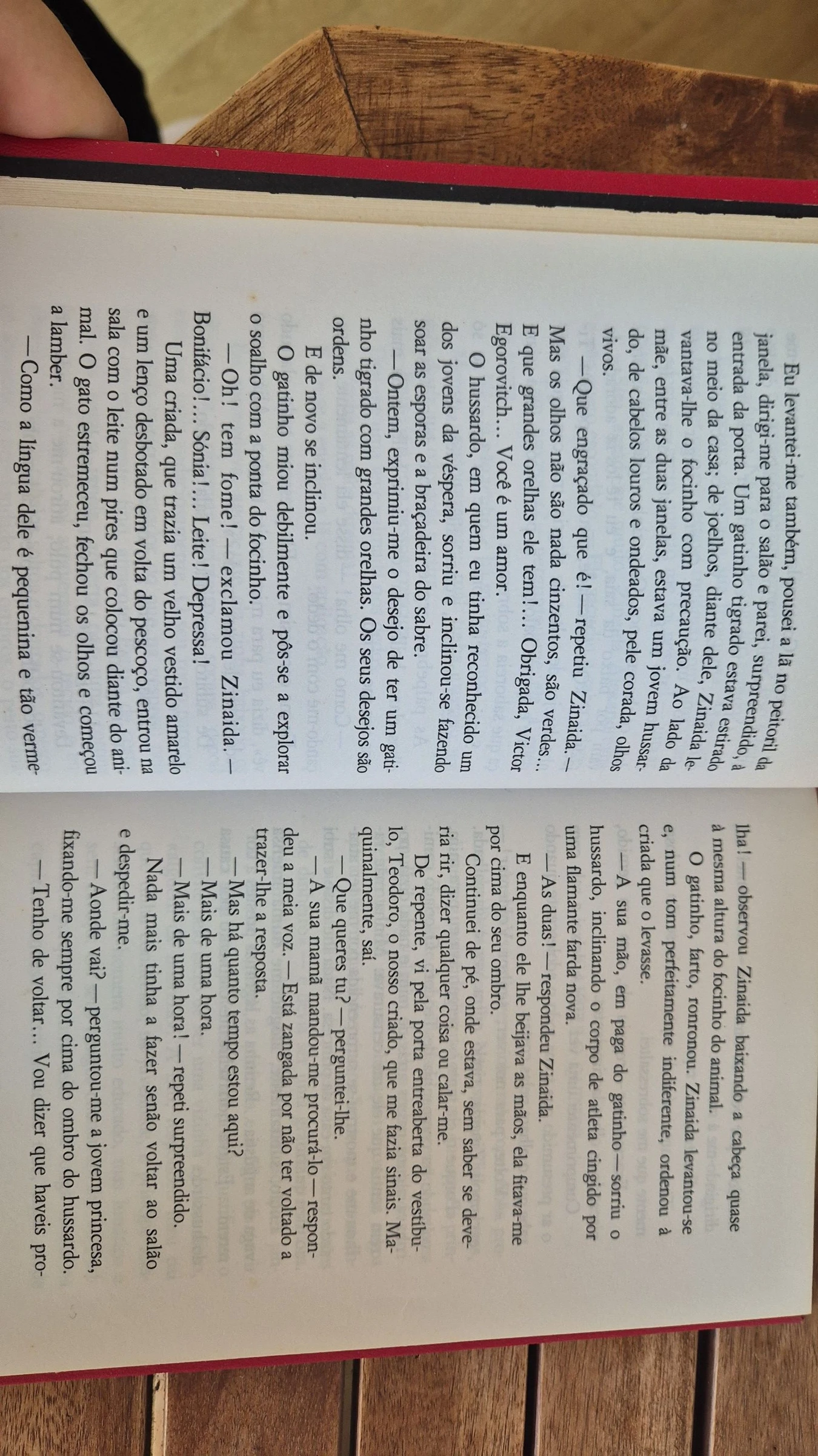 Boek De eerste liefde van Ivan Toergin – photo 4